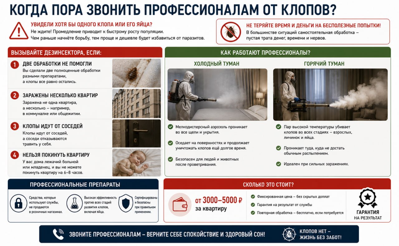 Когда пора звонить профессионалам от клопов